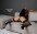 Опытная Whatsapp!!